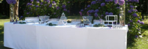 banquet-cocktail-parc-buffet-hortensias-Latitude Ouest