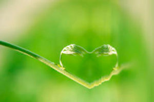 latitude-ouest-bons-cadeaux-coeur-goutte-rosee